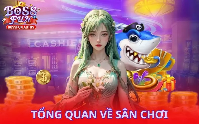 Tổng quan về sân chơi
