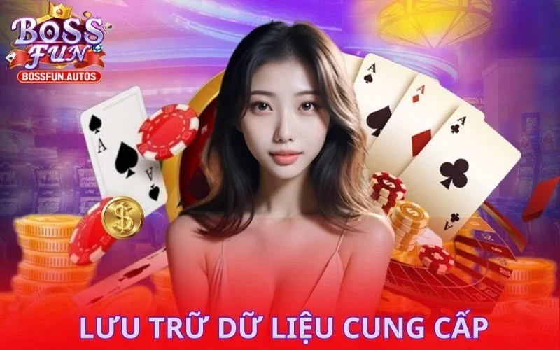 Lưu trữ dữ liệu cung cấp