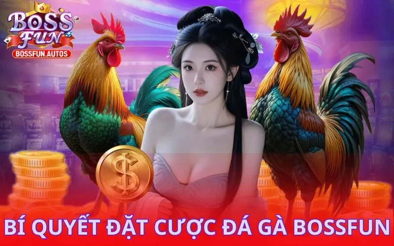 Bí quyết đặt cược